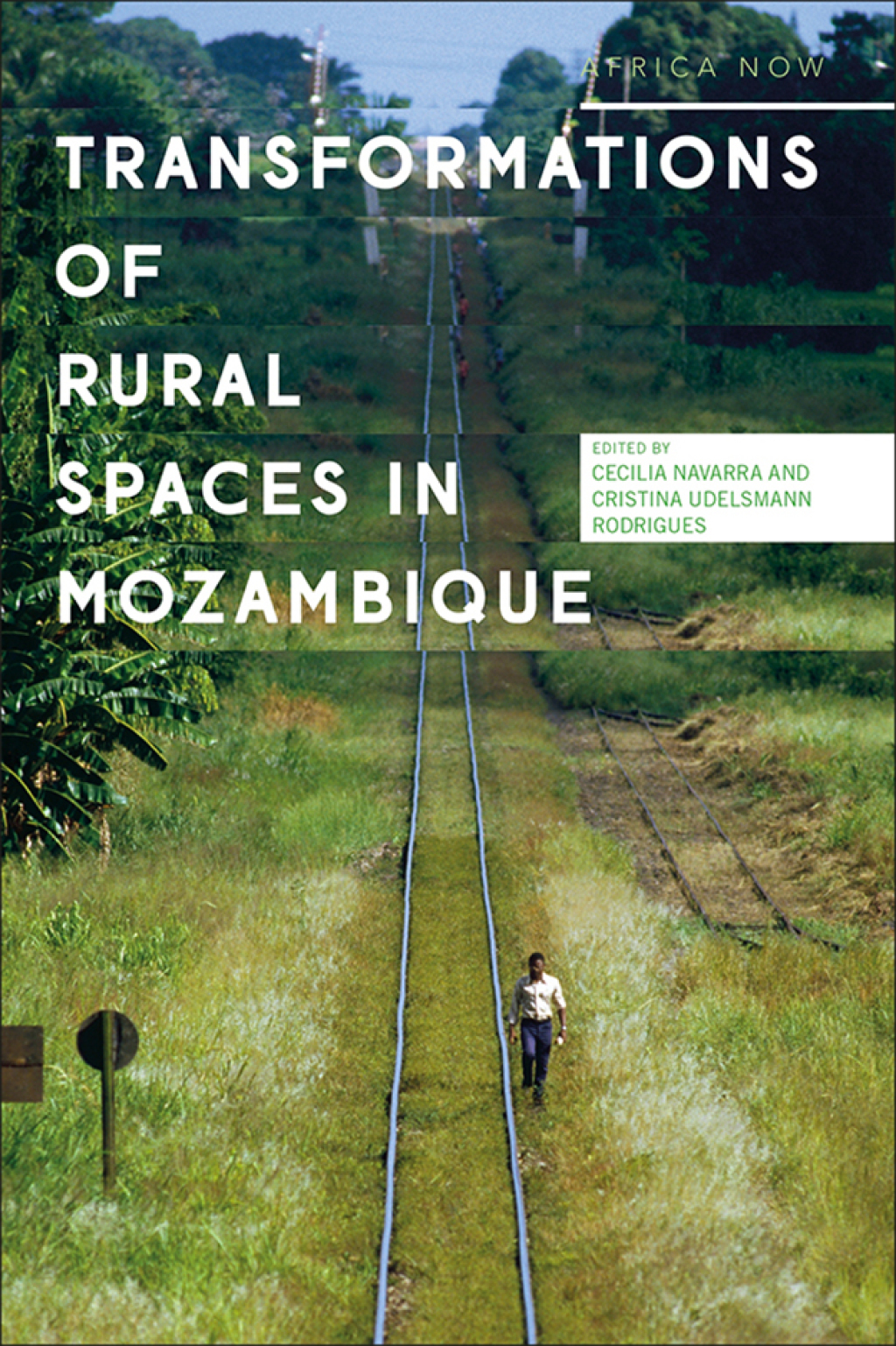 Transformations of Rural Spaces in Mozambique 1st Edition - (PDF/EPUB Version)