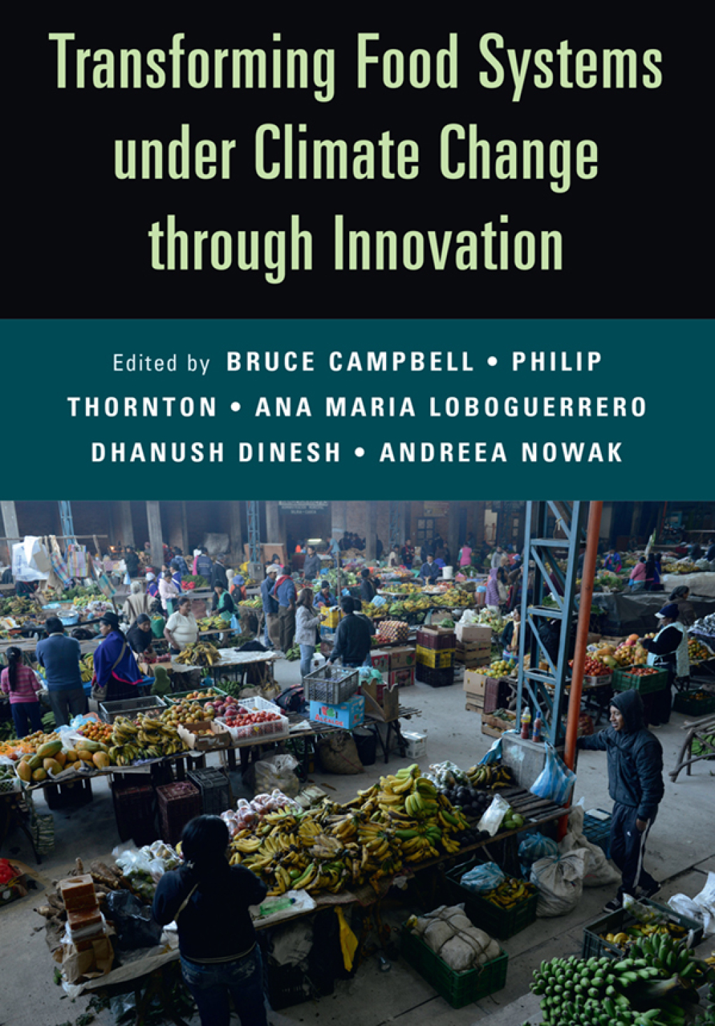 Transforming Food Systems Under Climate Change through Innovation â ...