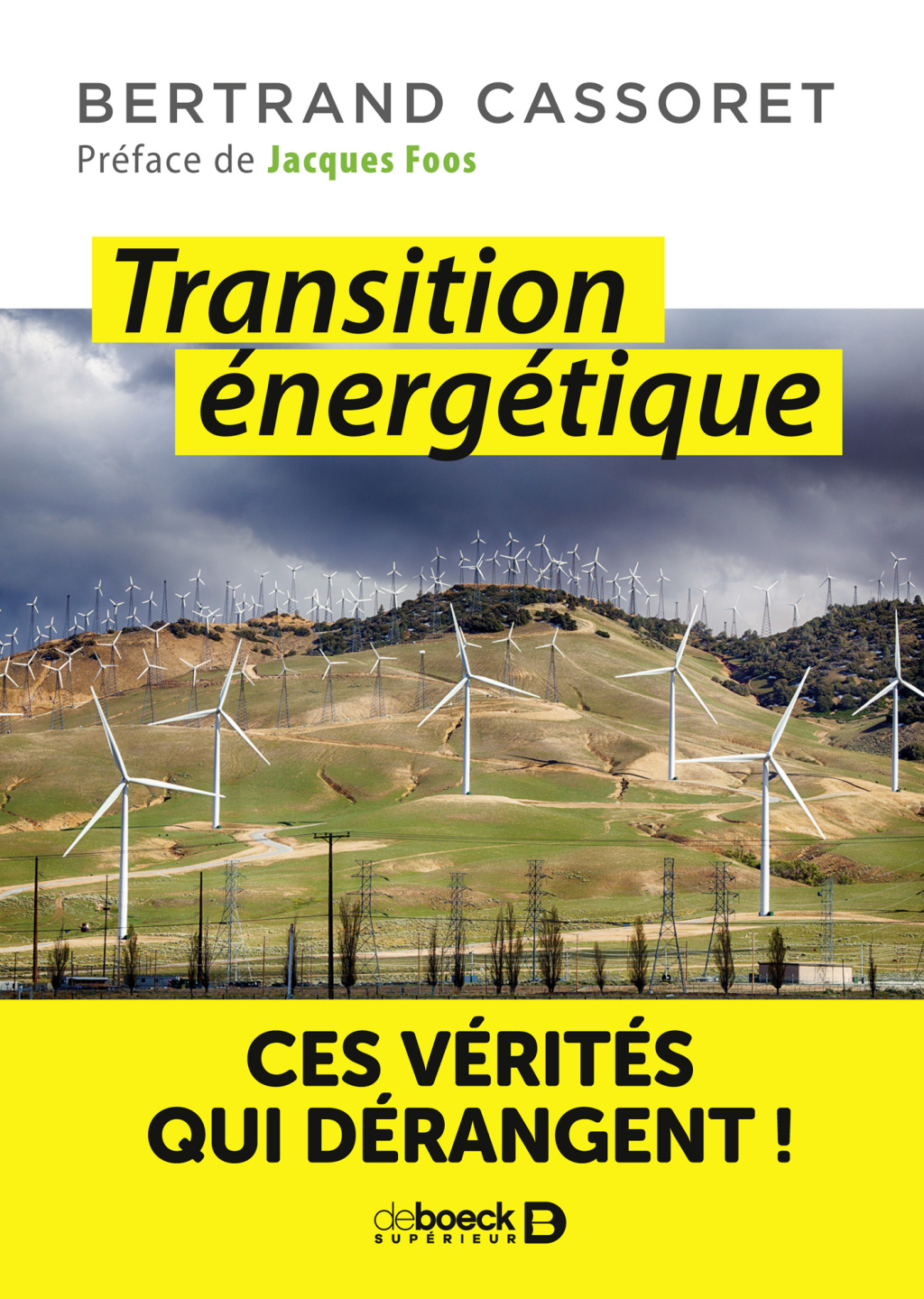 Transition Ã©nergÃ©tique Ces vÃ©ritÃ©s qui dÃ©rangent ! - (PDF/EPUB Version)