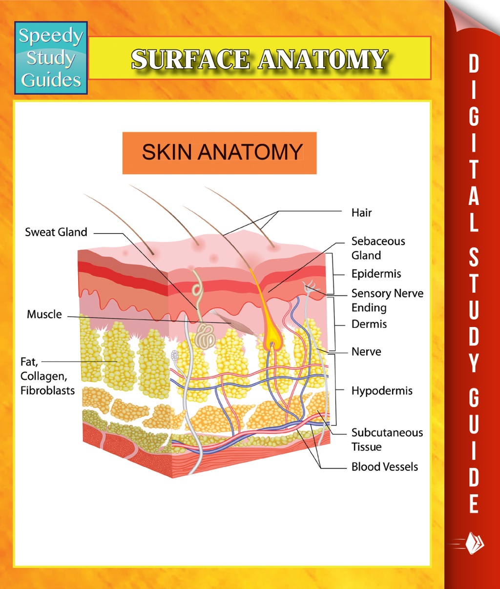 Trigger Points (Advanced) Speedy Study Guides - (PDF/EPUB Version)