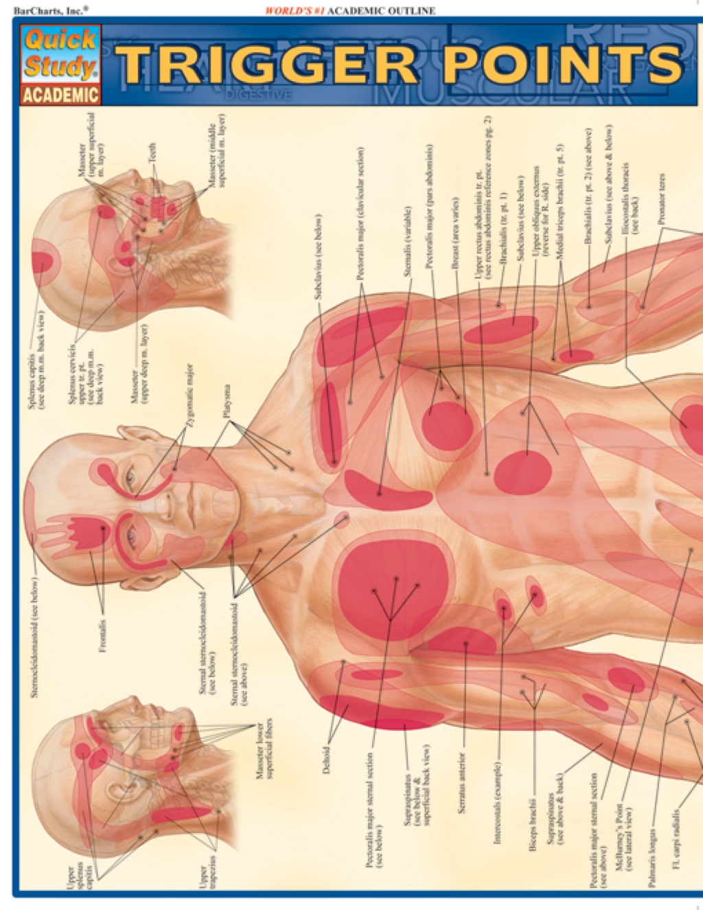 TRIGGER POINTS REFERENCE GUIDE - (PDF/EPUB Version)