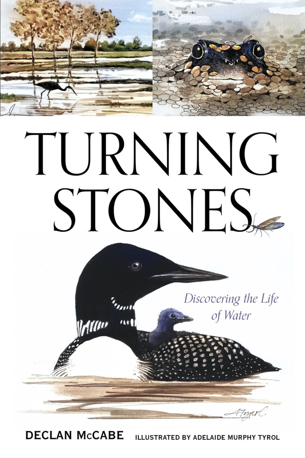 Turning Stones Discovering the Life of Water - (PDF/EPUB Version)