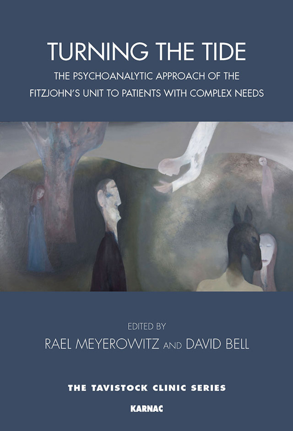 Turning the Tide The Psychoanalytic Approach of the Fitzjohn's Unit to Patients with Complex Needs 1st Edition - (PDF/EPUB Version)