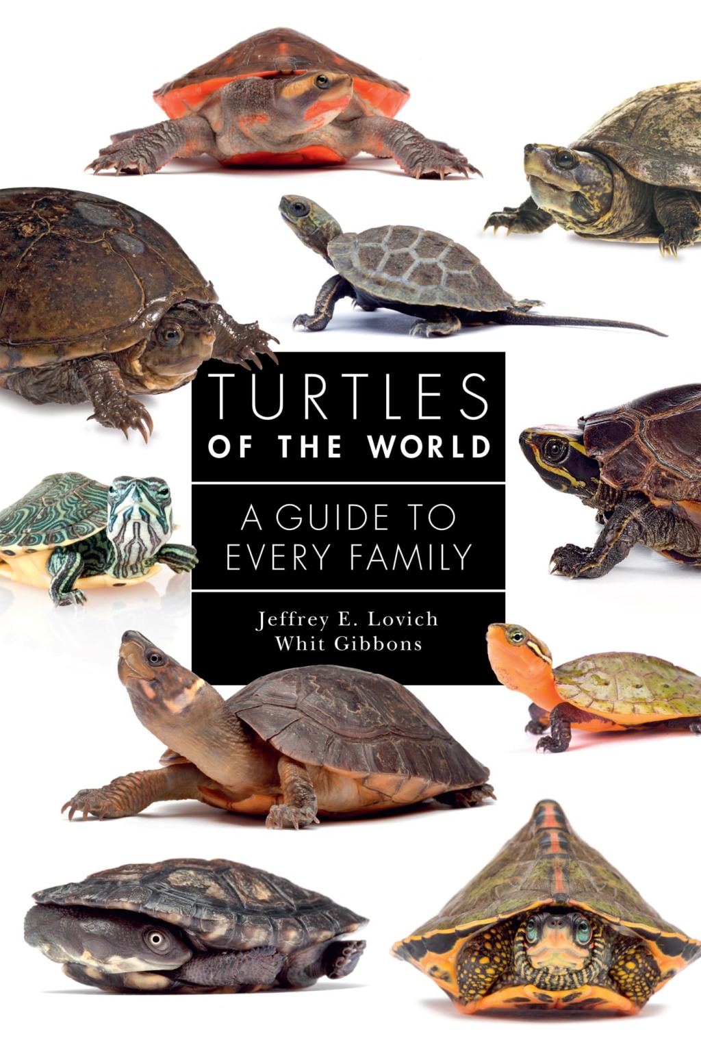 Turtles of the World A Guide to Every Family - (PDF/EPUB Version)