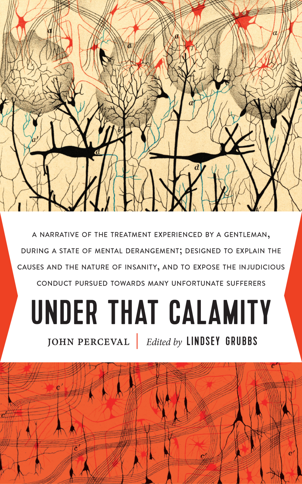 Under That Calamity A Narrative of the Treatment Experienced by a Gentleman during a State of Mental Derangement - (PDF/EPUB Version)