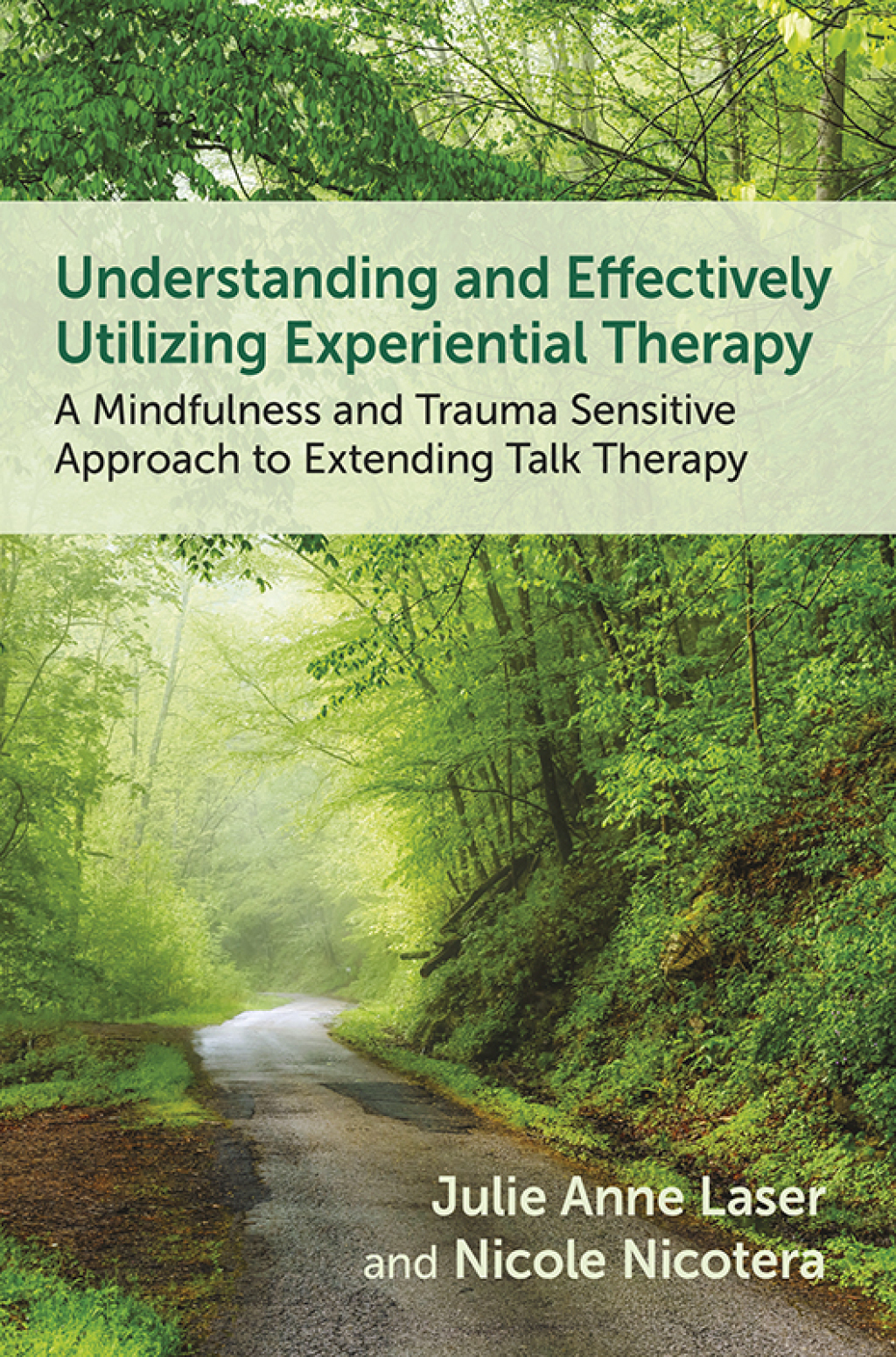 Understanding and Effectively Utilizing Experiential Therapy A ...