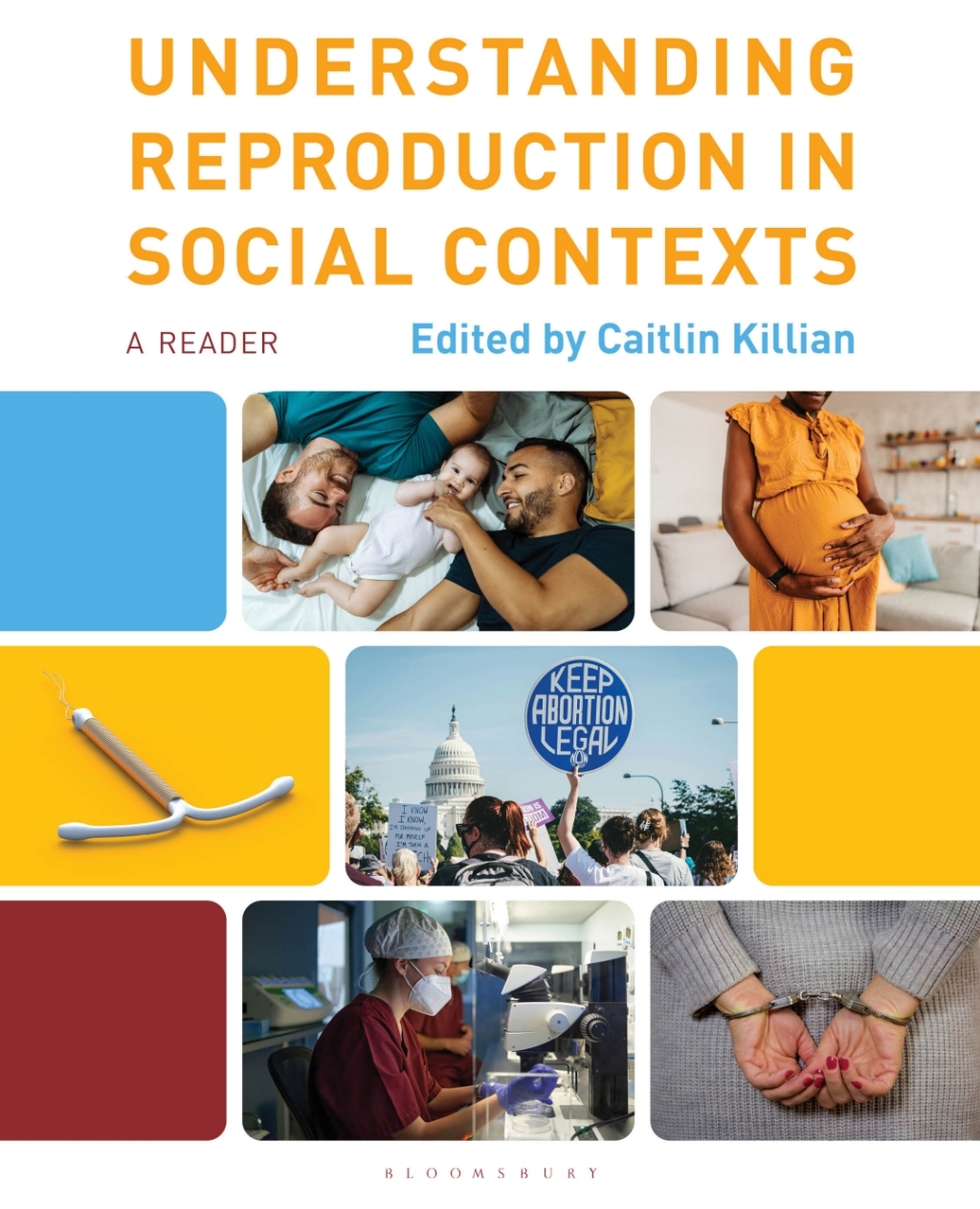 Understanding Reproduction in Social Contexts A Reader 1st Edition â ...