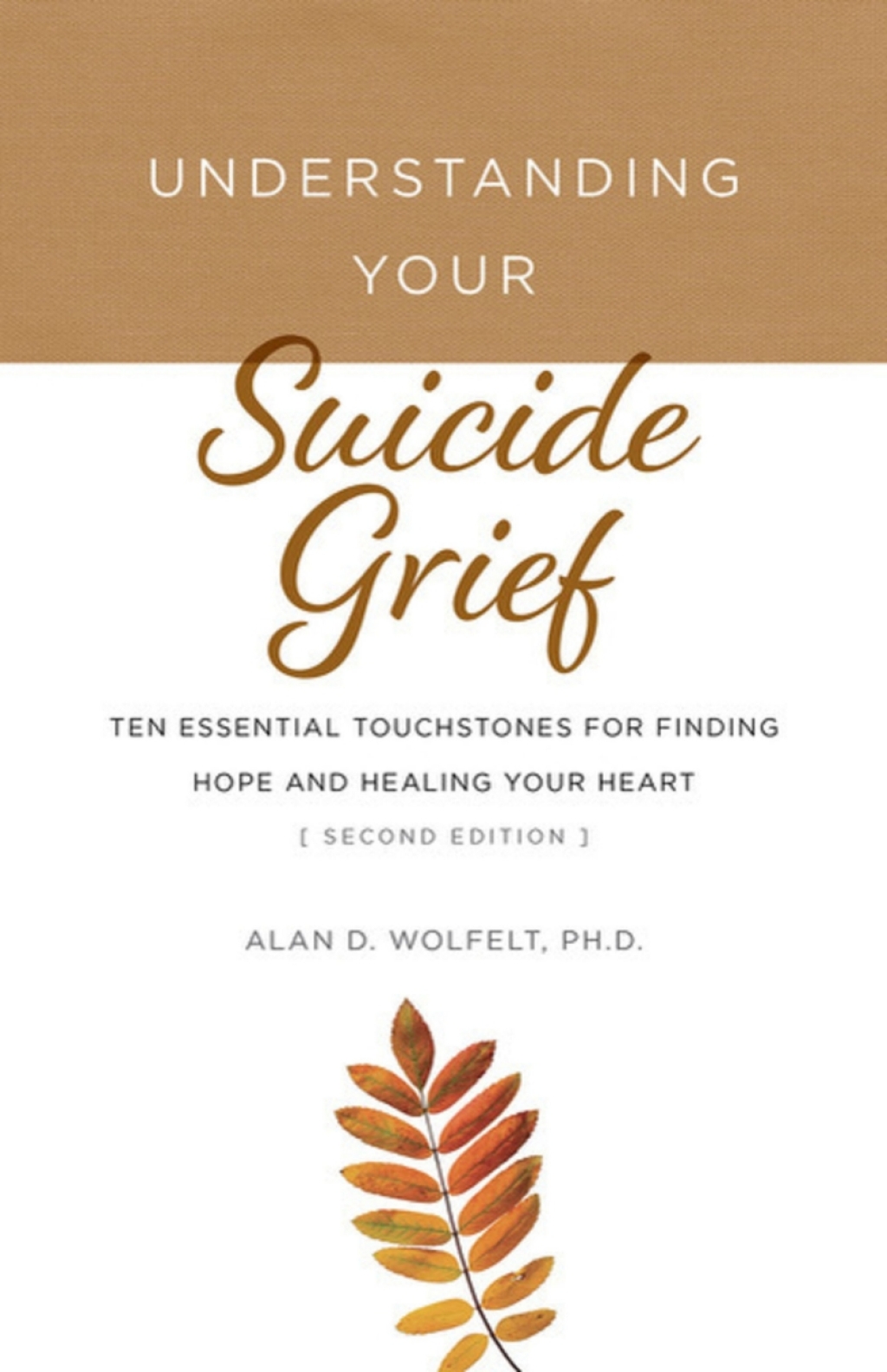 Understanding Your Suicide Grief Ten Essential Touchstones for Finding Hope and Healing Your Heart - (PDF/EPUB Version)