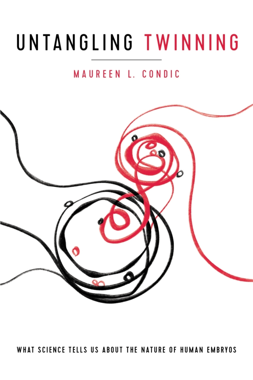 Untangling Twinning What Science Tells Us about the Nature of Human Embryos - (PDF/EPUB Version)