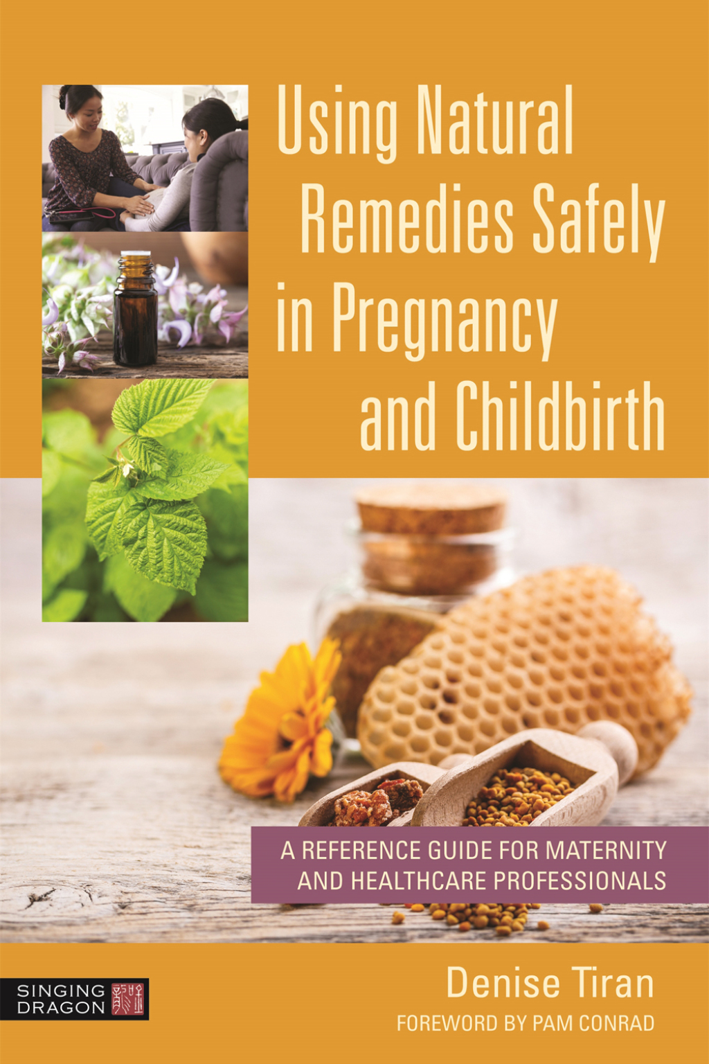 Using Natural Remedies Safely in Pregnancy and Childbirth A Reference Guide for Maternity and Healthcare Professionals - (PDF/EPUB Version)