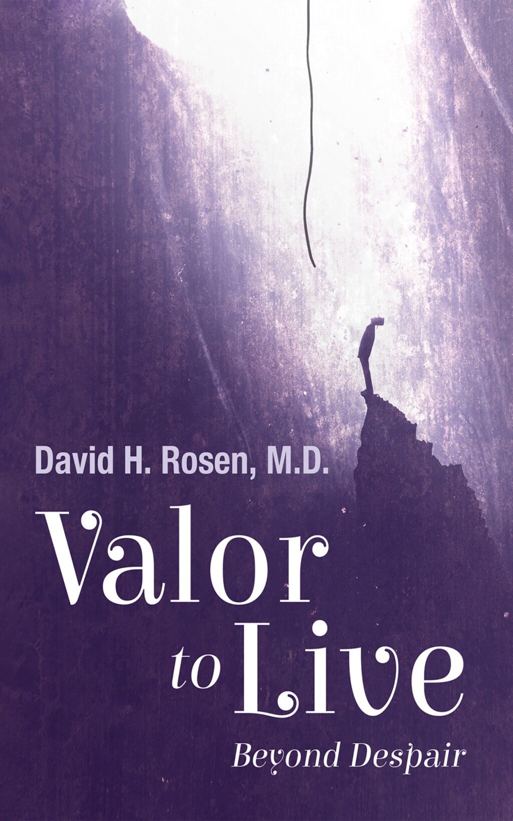 Valor to Live Beyond Despair - (PDF/EPUB Version)