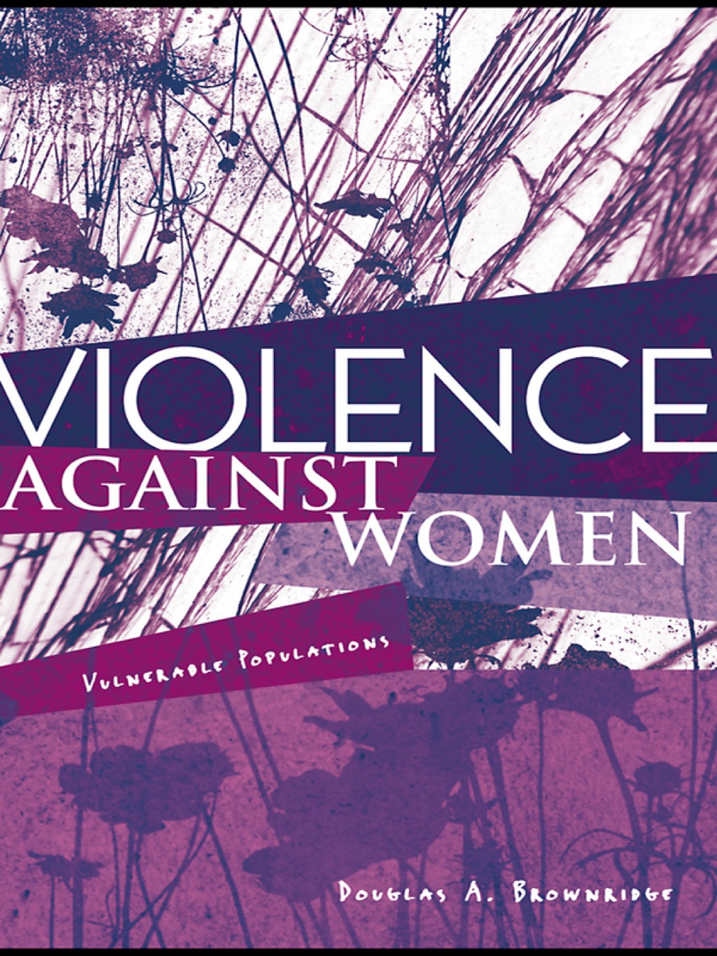 Violence Against Women Vulnerable Populations 1st Edition - (PDF/EPUB Version)