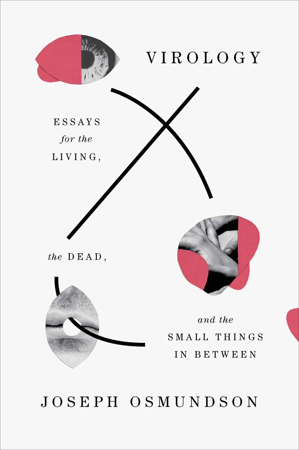 Virology: Essays for the Living, the Dead, and the Small Things in Between - (PDF/EPUB Version)