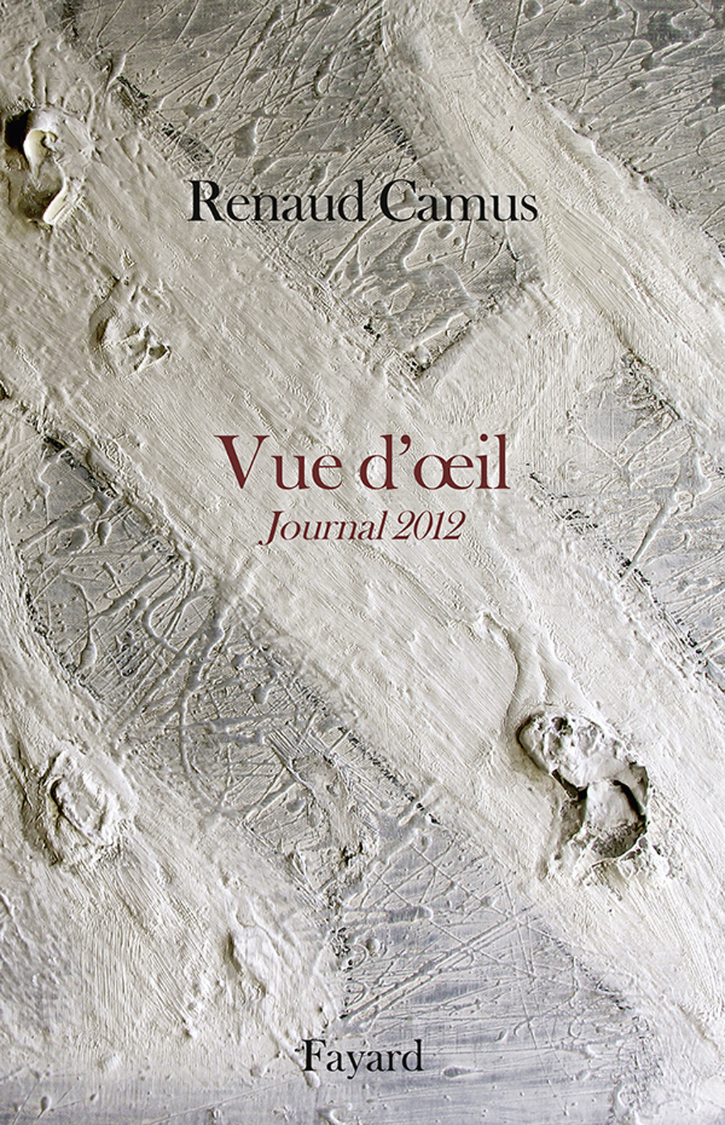 Vue d'oeil Journal 2012  â€“ PDF/EPUB Version Downloadable