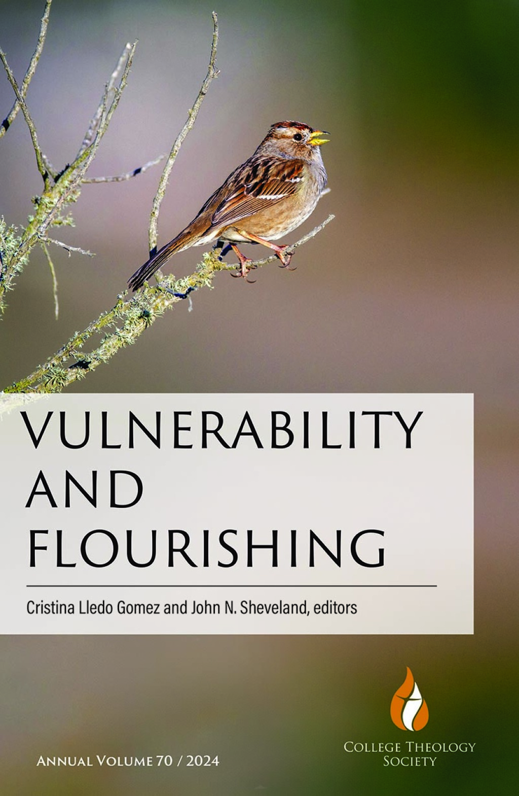 Vulnerability and Flourishing  â€“ PDF/EPUB Version Downloadable
