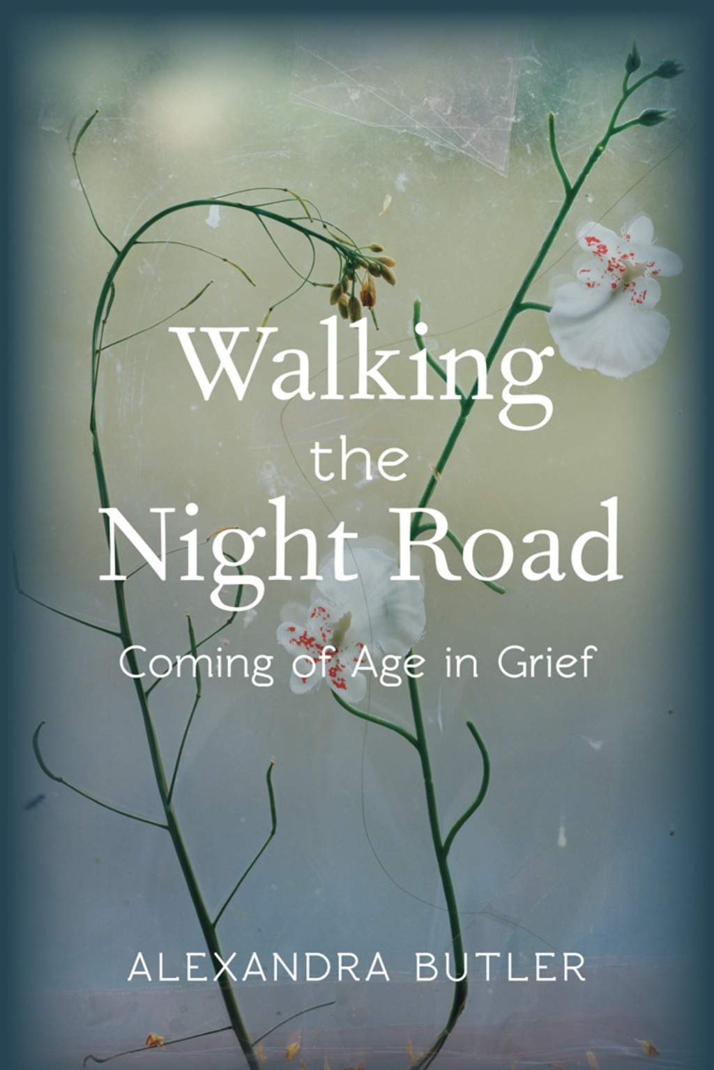 Walking the Night Road Coming of Age in Grief - (PDF/EPUB Version)