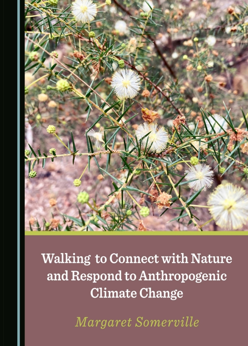 Walking to Connect with Nature and Respond to Anthropogenic Climate Change 1st Edition â€“ PDF/EPUB Version Downloadable