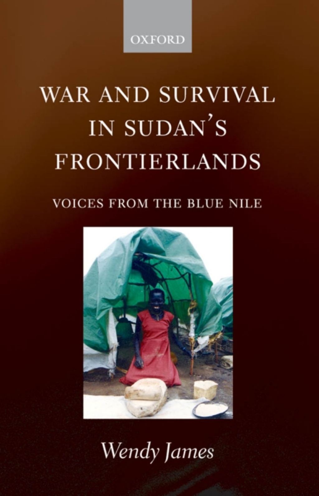 War and Survival in Sudan's Frontierlands Voices from the Blue Nile  â€“ PDF/EPUB Version Downloadable