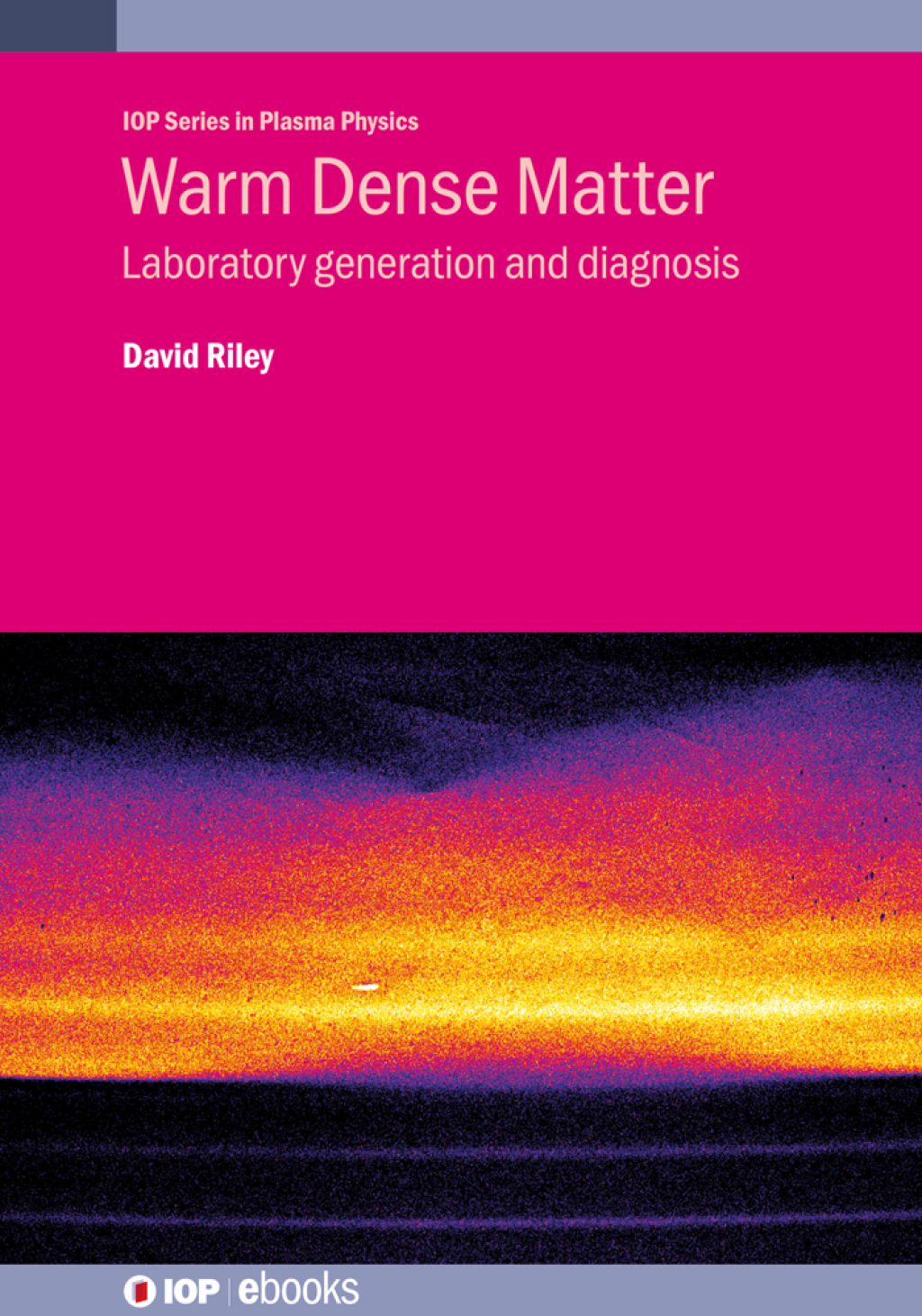 Warm Dense Matter Laboratory generation and diagnosis 1st Edition â€“ PDF/EPUB Version Downloadable