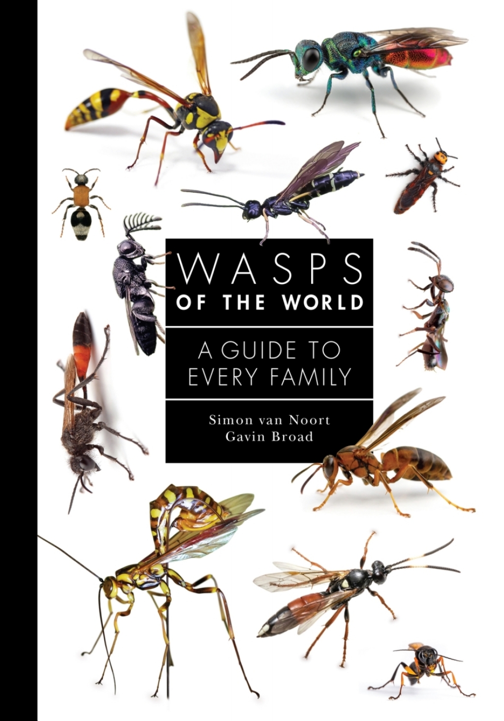 Wasps of the World A Guide to Every Family - (PDF/EPUB Version)