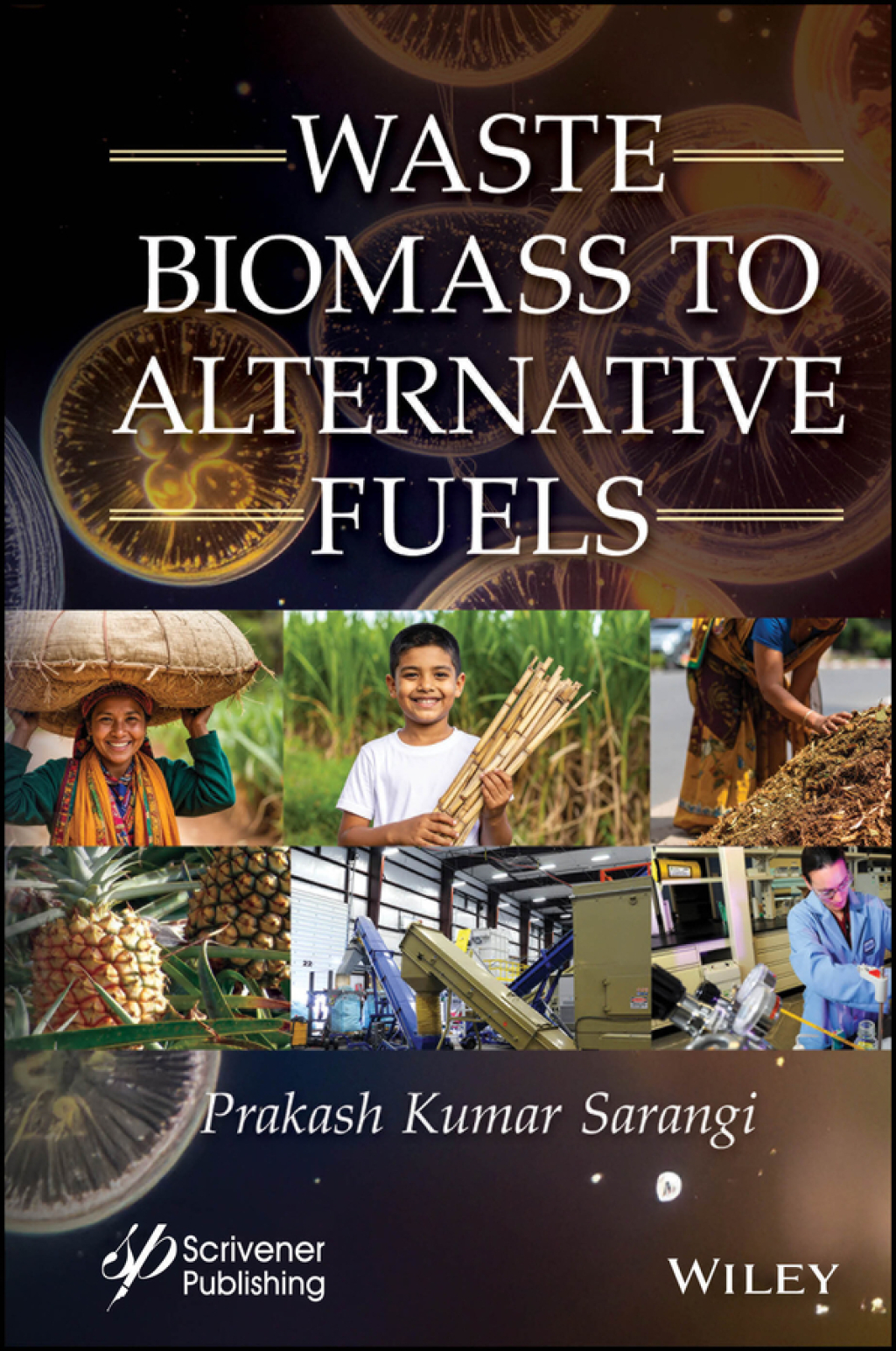 Waste Biomass to Alternative Fuels 1st Edition â€“ PDF/EPUB Version Downloadable