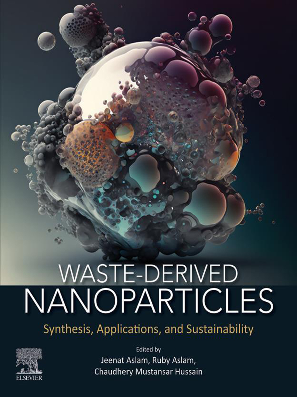 Waste-Derived Nanoparticles Synthesis, Applications and Sustainability 1st Edition â€“ PDF/EPUB Version Downloadable