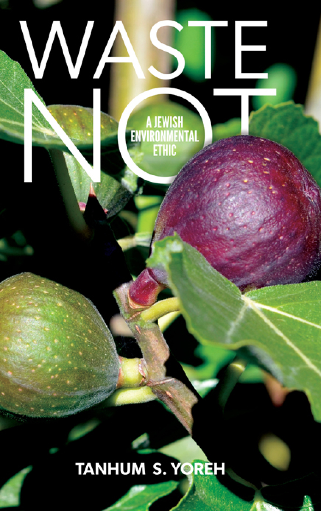 Waste Not A Jewish Environmental Ethic  â€“ PDF/EPUB Version Downloadable