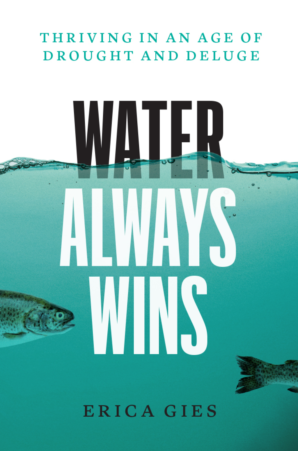 Water Always Wins Thriving in an Age of Drought and Deluge - (PDF/EPUB Version)
