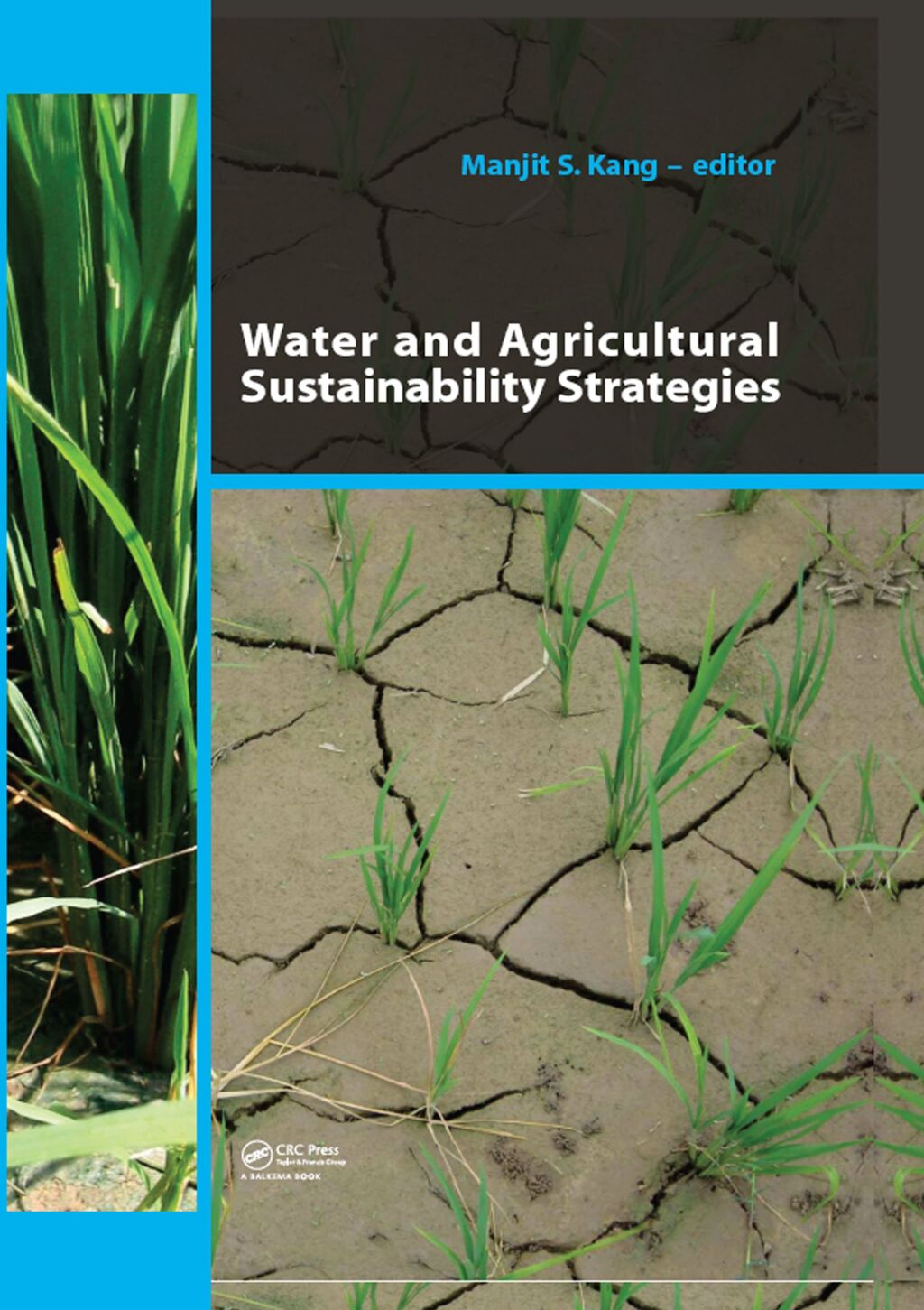 Water and Agricultural Sustainability Strategies 1st Edition â€“ PDF/EPUB Version Downloadable