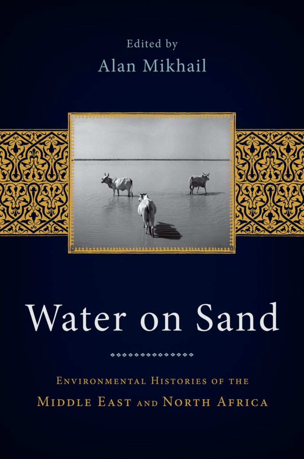 Water on Sand Environmental Histories of the Middle East and North Africa 1st Edition â€“ PDF/EPUB Version Downloadable