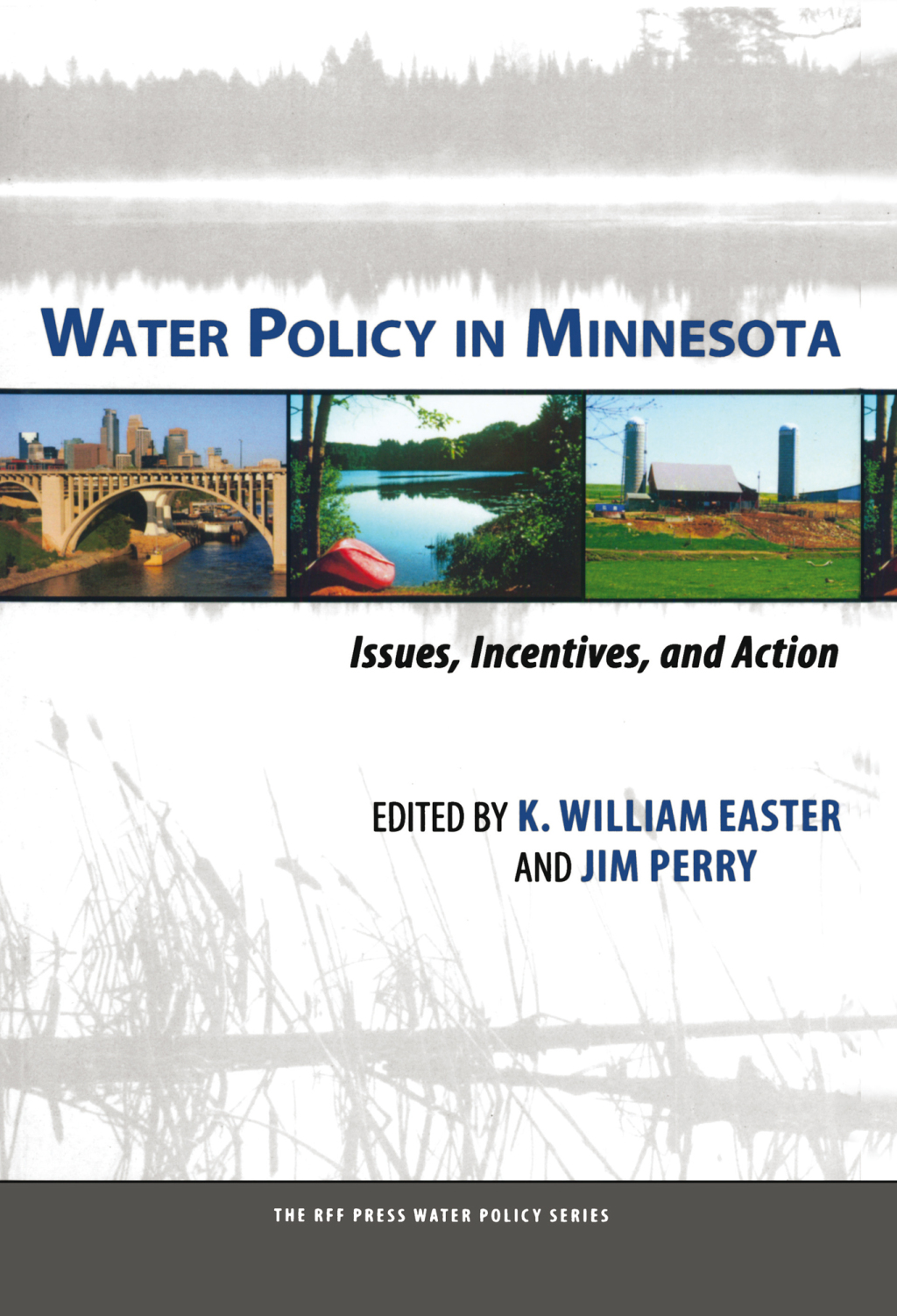 Water Policy in Minnesota Issues, Incentives, and Action 1st Edition â€“ PDF/EPUB Version Downloadable