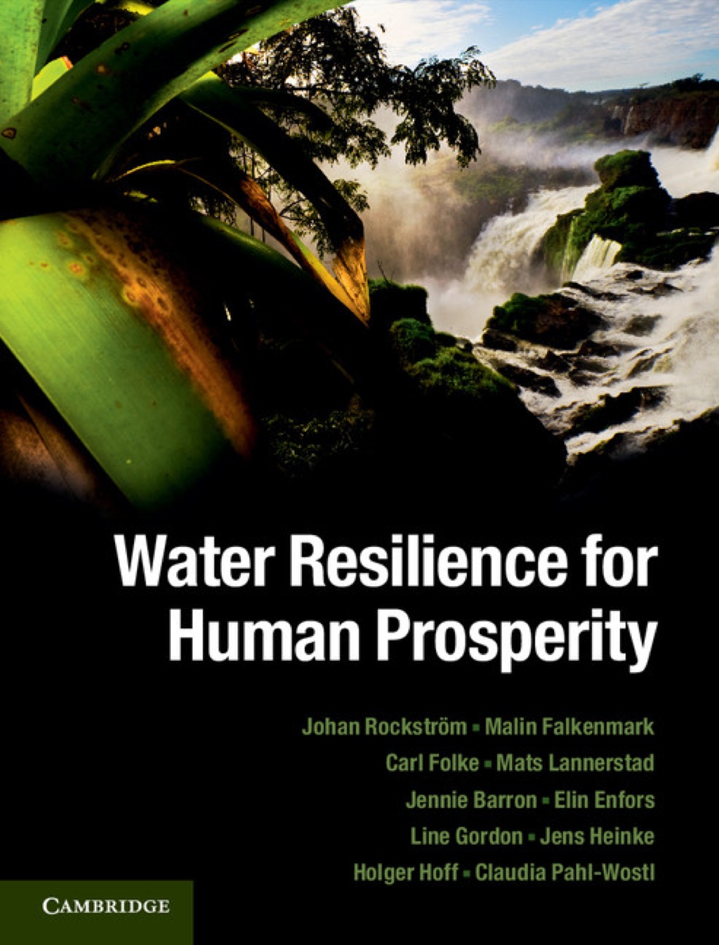 Water Resilience for Human Prosperity 1st Edition â€“ PDF/EPUB Version Downloadable