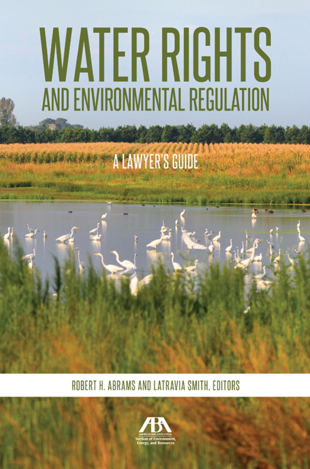 Water Rights and Environmental Regulation A Lawyer's Guide  â€“ PDF/EPUB Version Downloadable