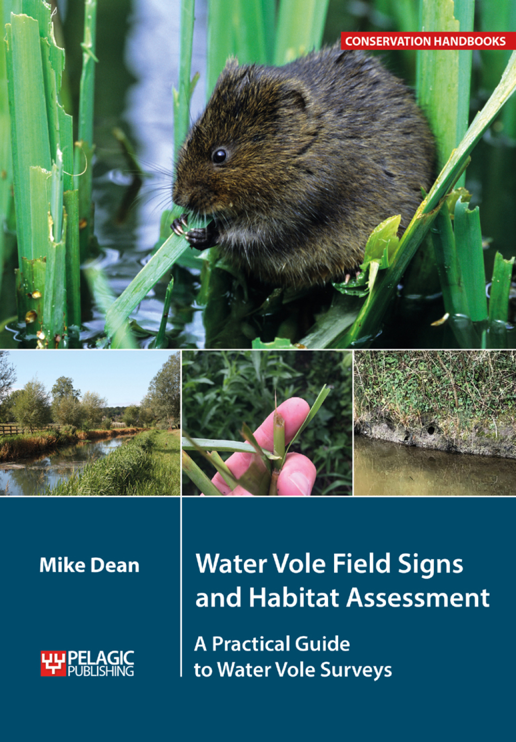 Water Vole Field Signs and Habitat Assessment A Practical Guide to Water Vole Surveys 1st Edition â€“ PDF/EPUB Version Downloadable