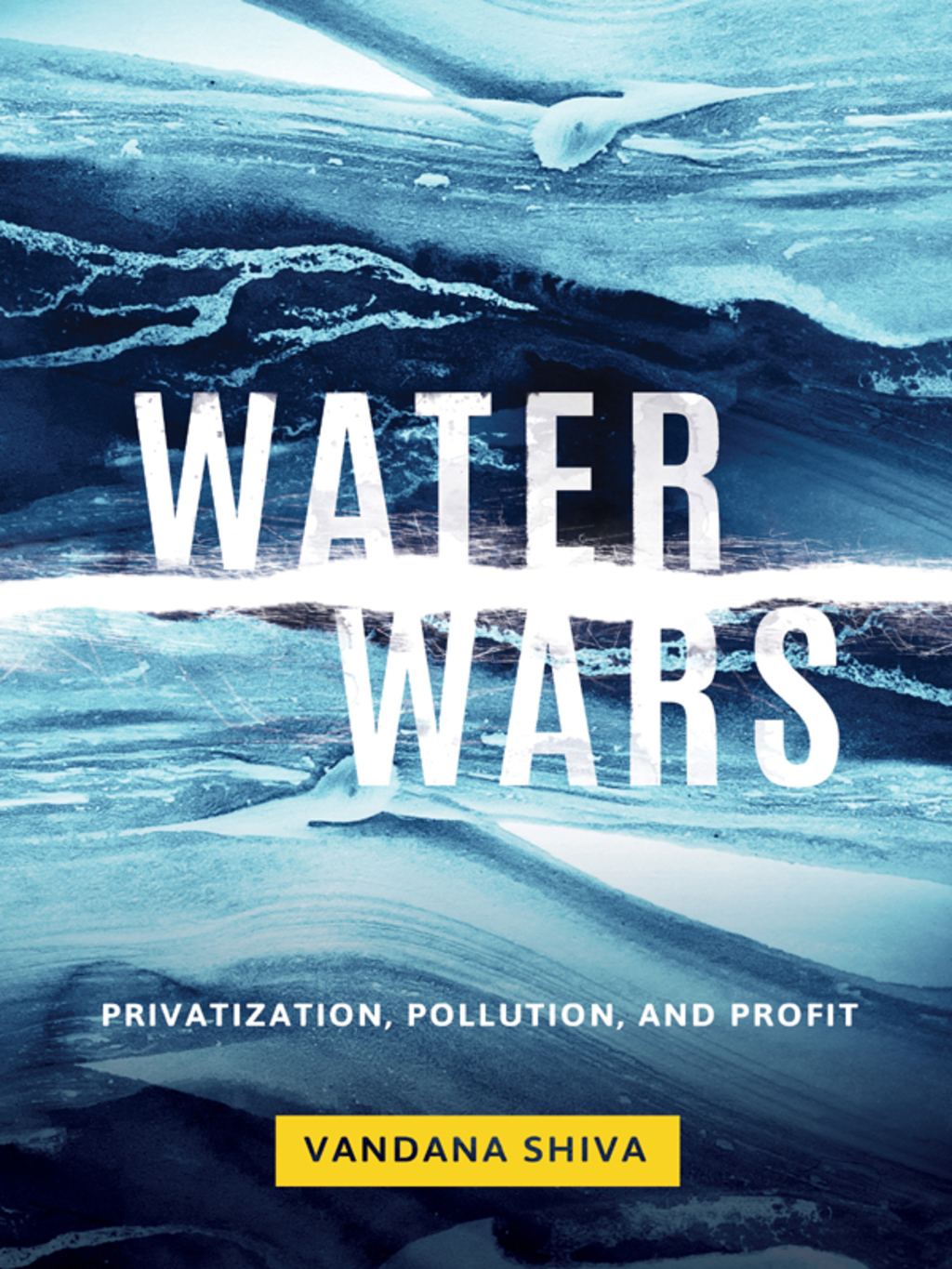 Water Wars Privatization, Pollution, and Profit - (PDF/EPUB Version)