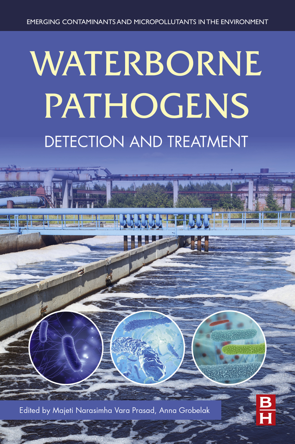 Waterborne Pathogens Detection and Treatment 1st Edition â€“ PDF/EPUB Version Downloadable
