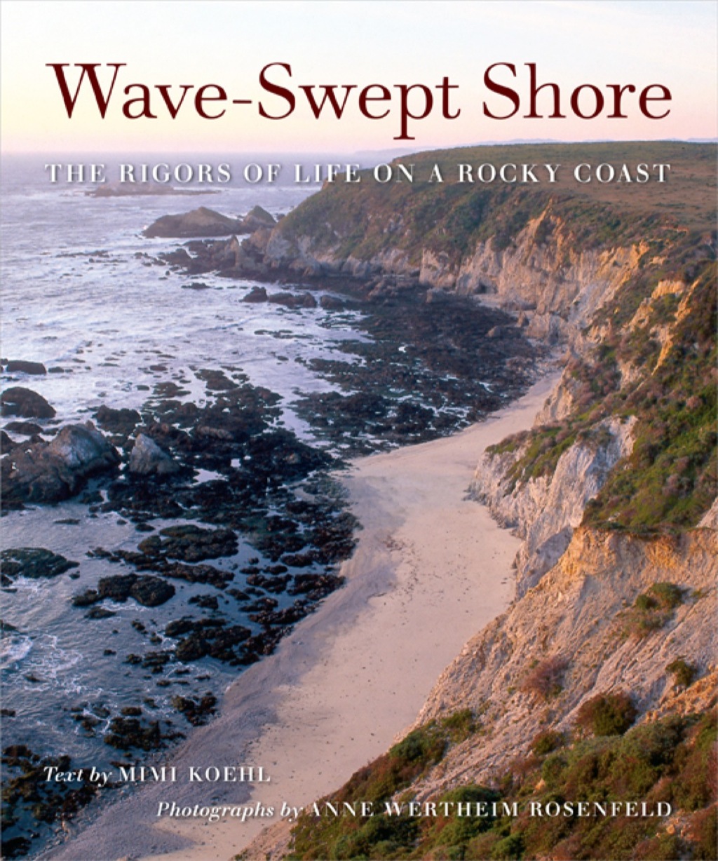 Wave-Swept Shore The Rigors of Life on a Rocky Coast 1st Edition â€“ PDF/EPUB Version Downloadable