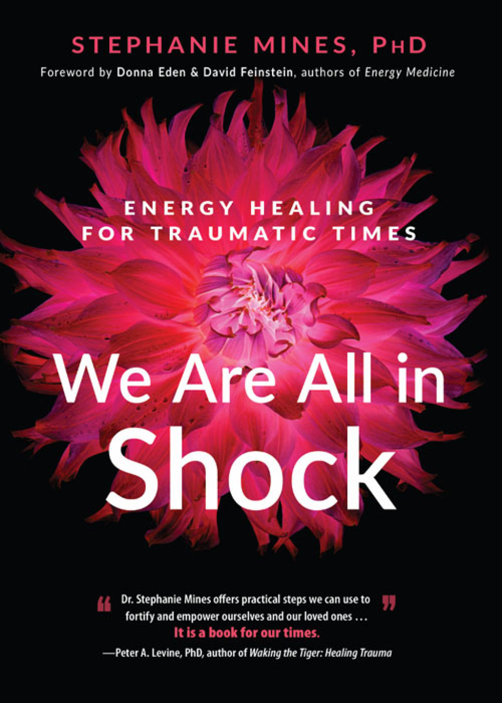 We Are All in Shock Energy Healing for Traumatic Times - (PDF/EPUB Version)