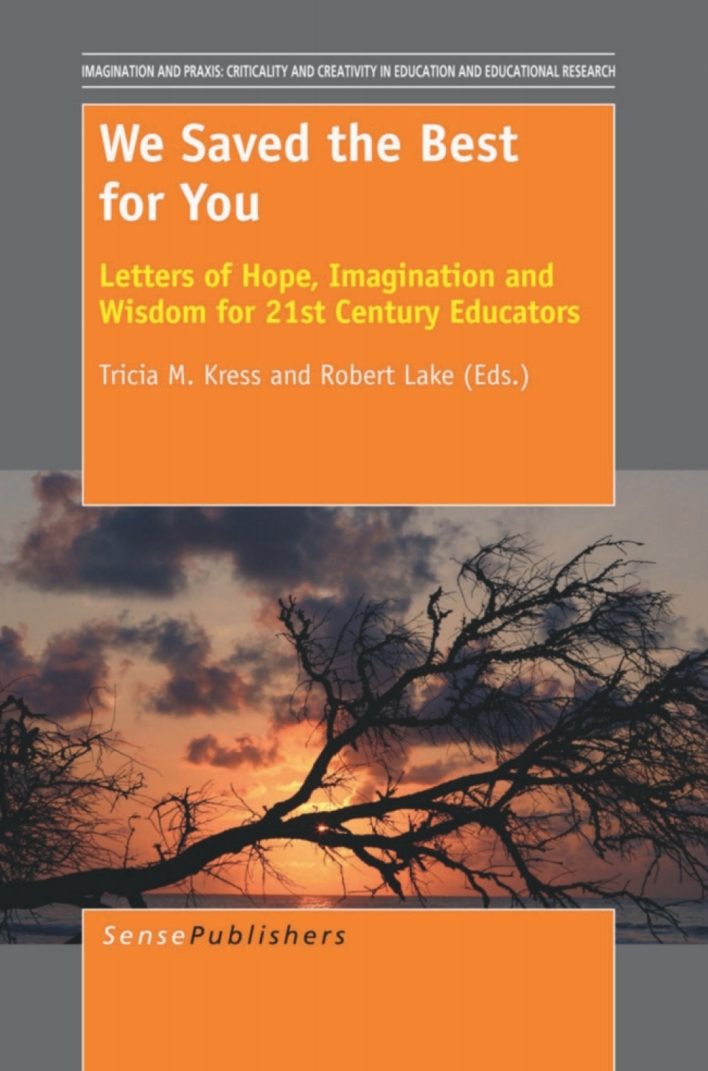 We Saved the Best for You Letters of Hope, Imagination and Wisdom for 21st Century Educators  â€“ PDF/EPUB Version Downloadable