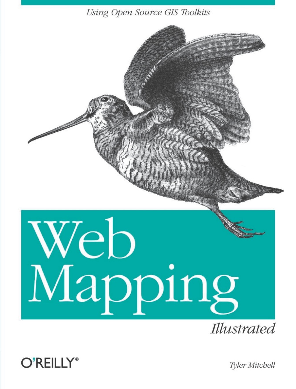 Web Mapping Illustrated 1st Edition â€“ PDF/EPUB Version Downloadable
