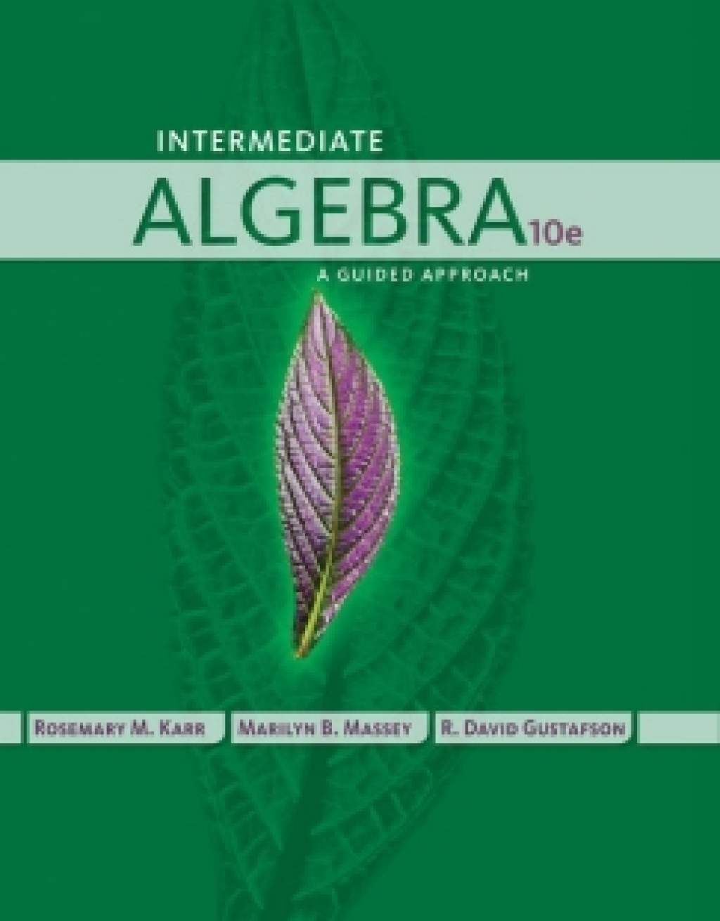 WebAssign for Karr/Massey/Gustafson's Intermediate Algebra: A Guided Approach 10th Edition â€“ PDF/EPUB Version Downloadable