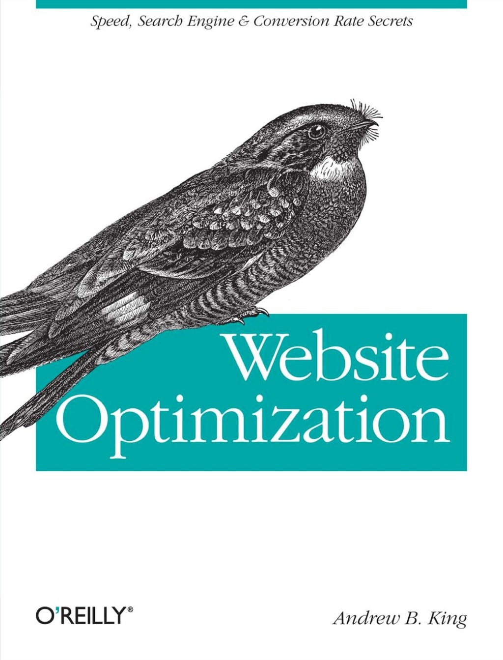 Website Optimization 1st Edition â€“ PDF/EPUB Version Downloadable