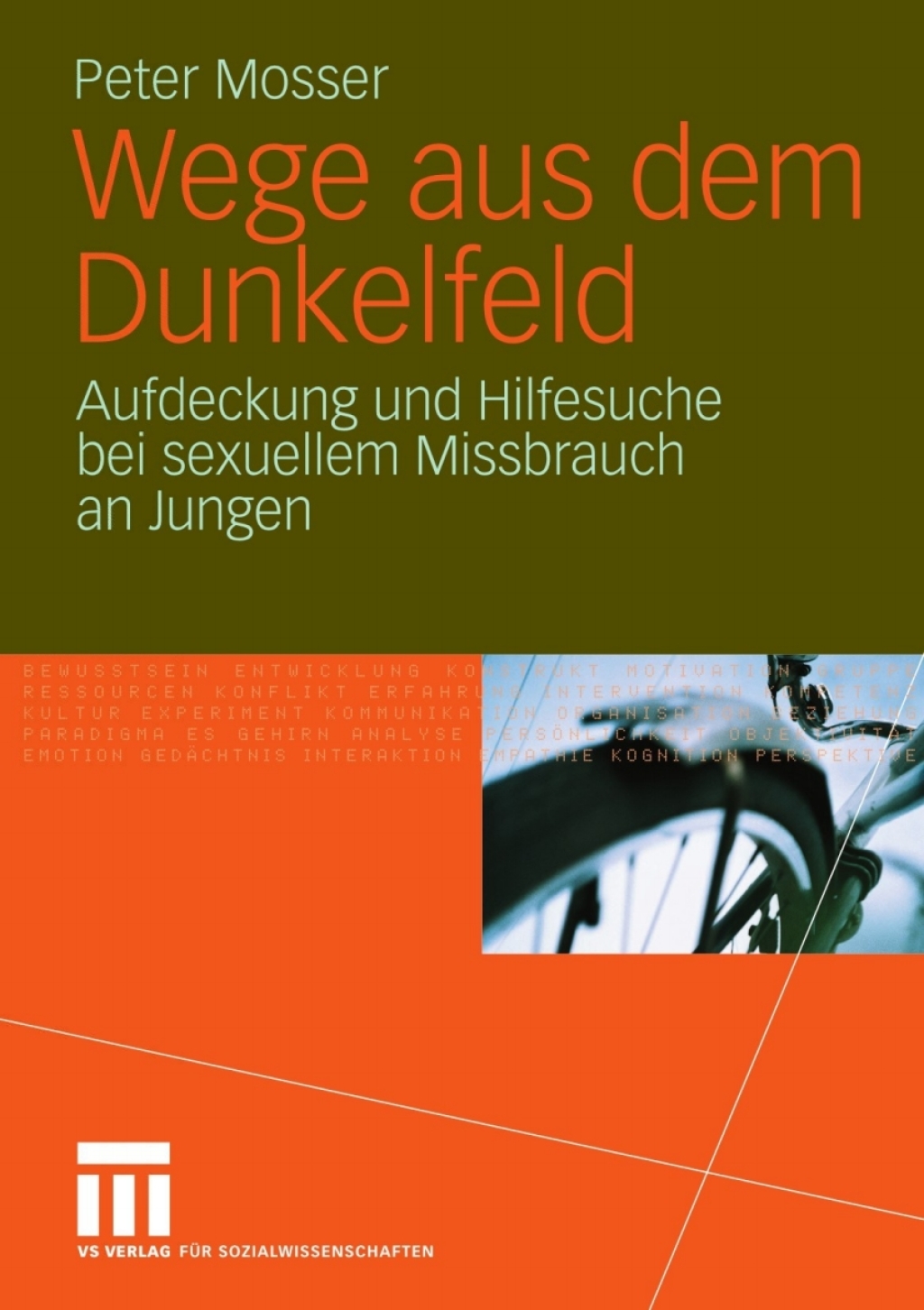 Wege aus dem Dunkelfeld Aufdeckung und Hilfesuche bei sexuellem Missbrauch an Jungen  â€“ PDF/EPUB Version Downloadable