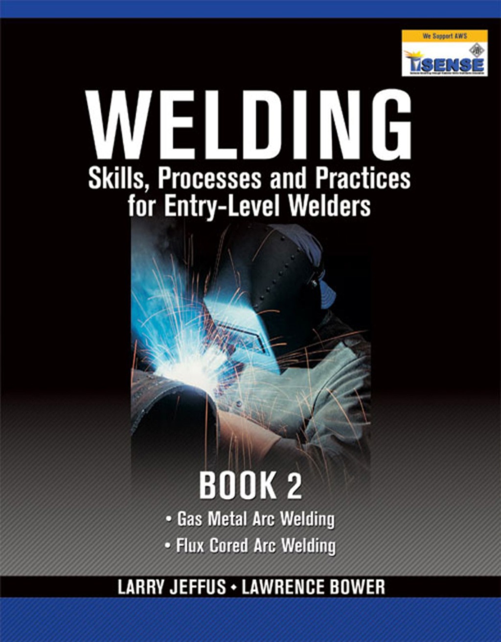 Welding Skills, Processes and Practices for Entry-Level Welders: Book 2 1st Edition â€“ PDF/EPUB Version Downloadable