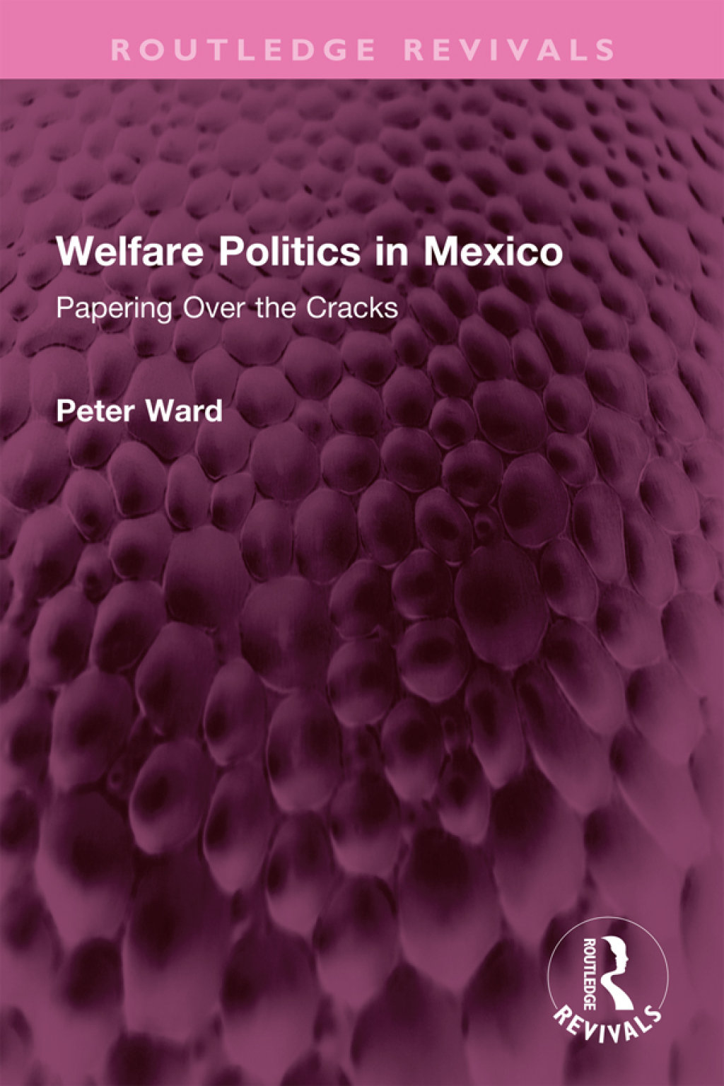 Welfare Politics in Mexico Papering Over the Cracks 1st Edition â€“ PDF/EPUB Version Downloadable