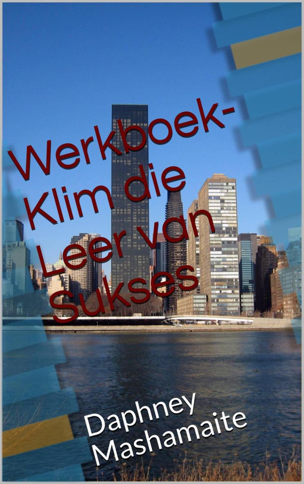 Werkboek - Klim die Leer van Sukses Beginsels wat jou sal onderskei - (PDF/EPUB Version)