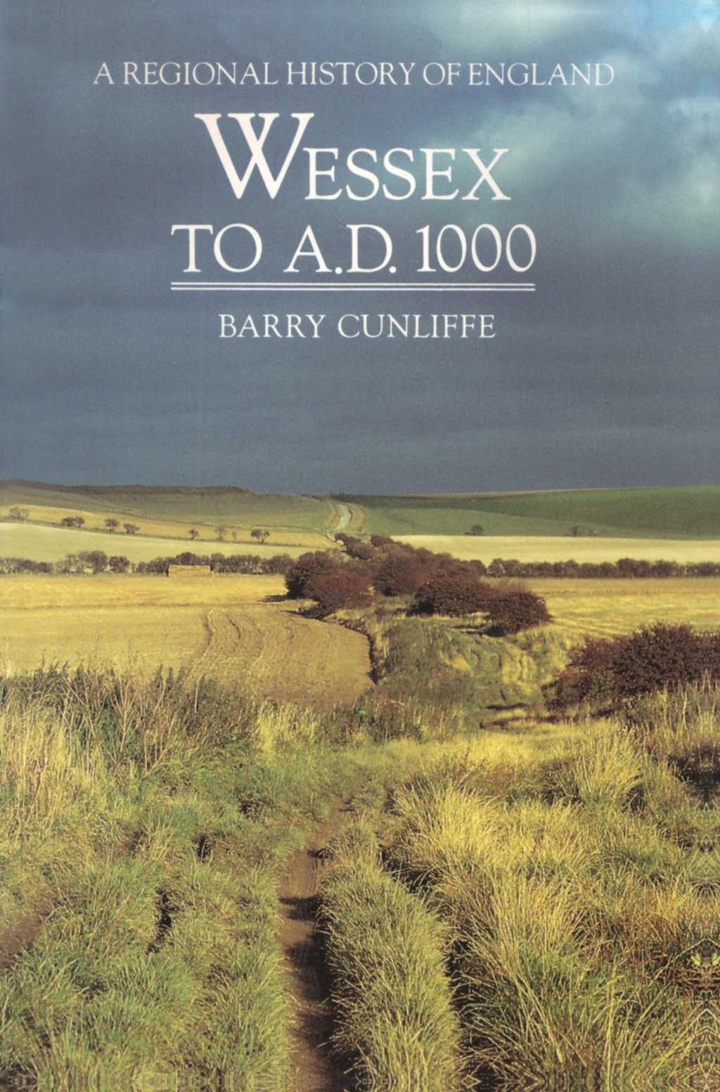 Wessex to 1000 AD 1st Edition â€“ PDF/EPUB Version Downloadable