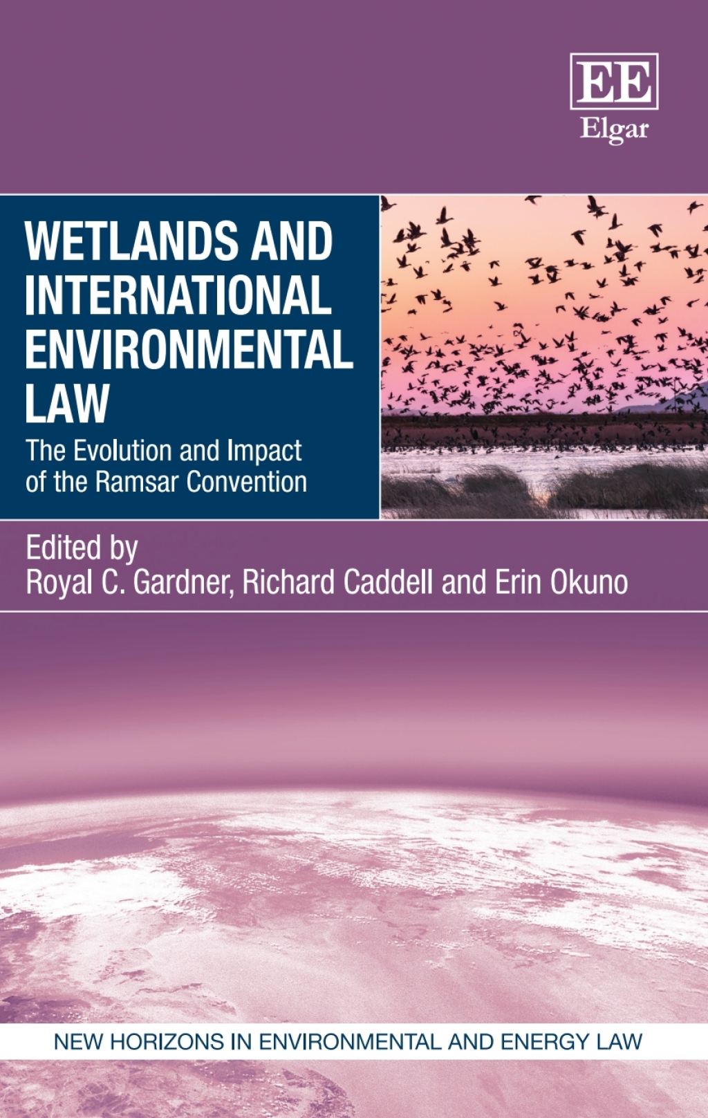 Wetlands and International Environmental Law 1st Edition â€“ PDF/EPUB Version Downloadable