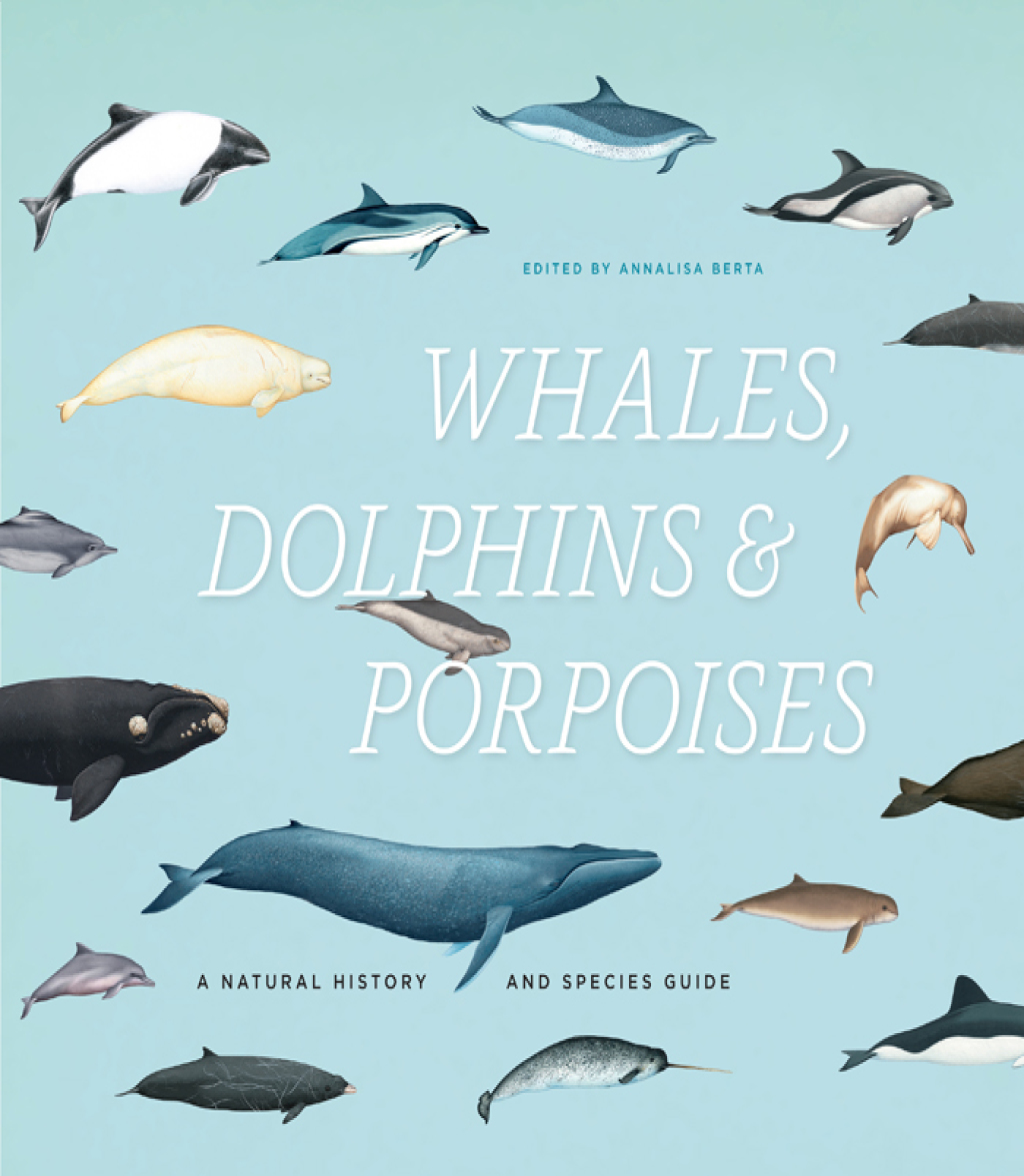 Whales, Dolphins, and Porpoises A Natural History and Species Guide 1st Edition â€“ PDF/EPUB Version Downloadable