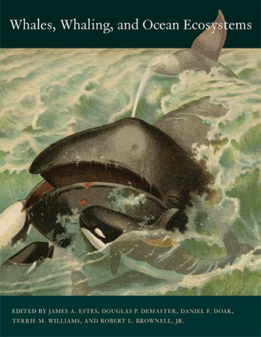 Whales, Whaling, and Ocean Ecosystems 1st Edition â€“ PDF/EPUB Version Downloadable